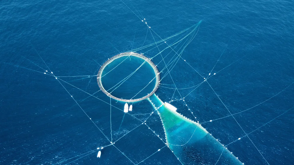 Luftaufnahme der Thunfischfalle mit dem runden Netz im Meer